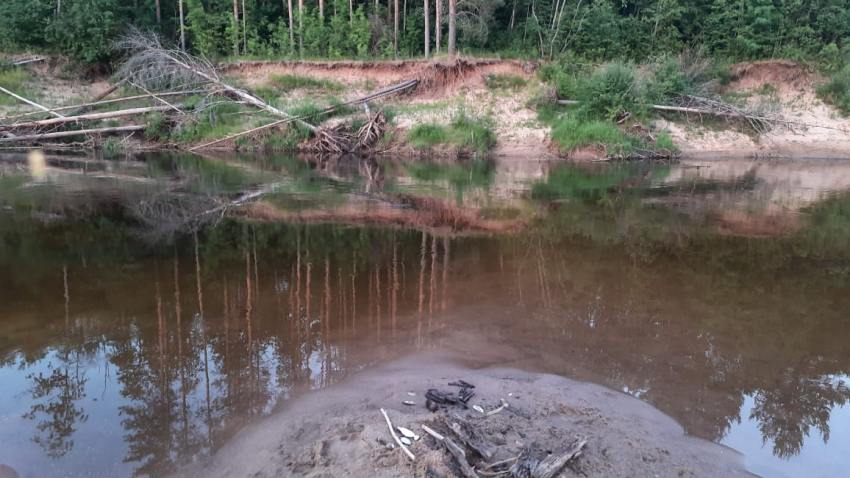 Молодой северодвинец утонул в реке Устьянского района
